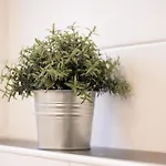 Luettje Huus 35227